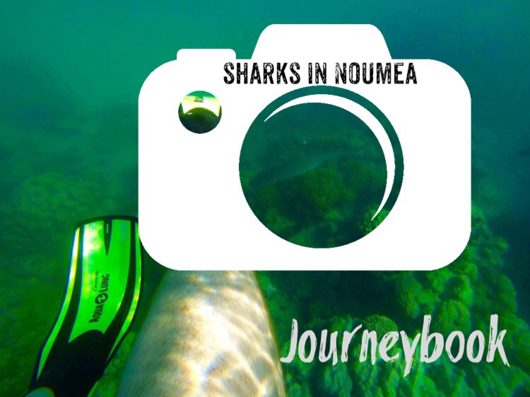 Snorkelen tussen haaien in Noumea